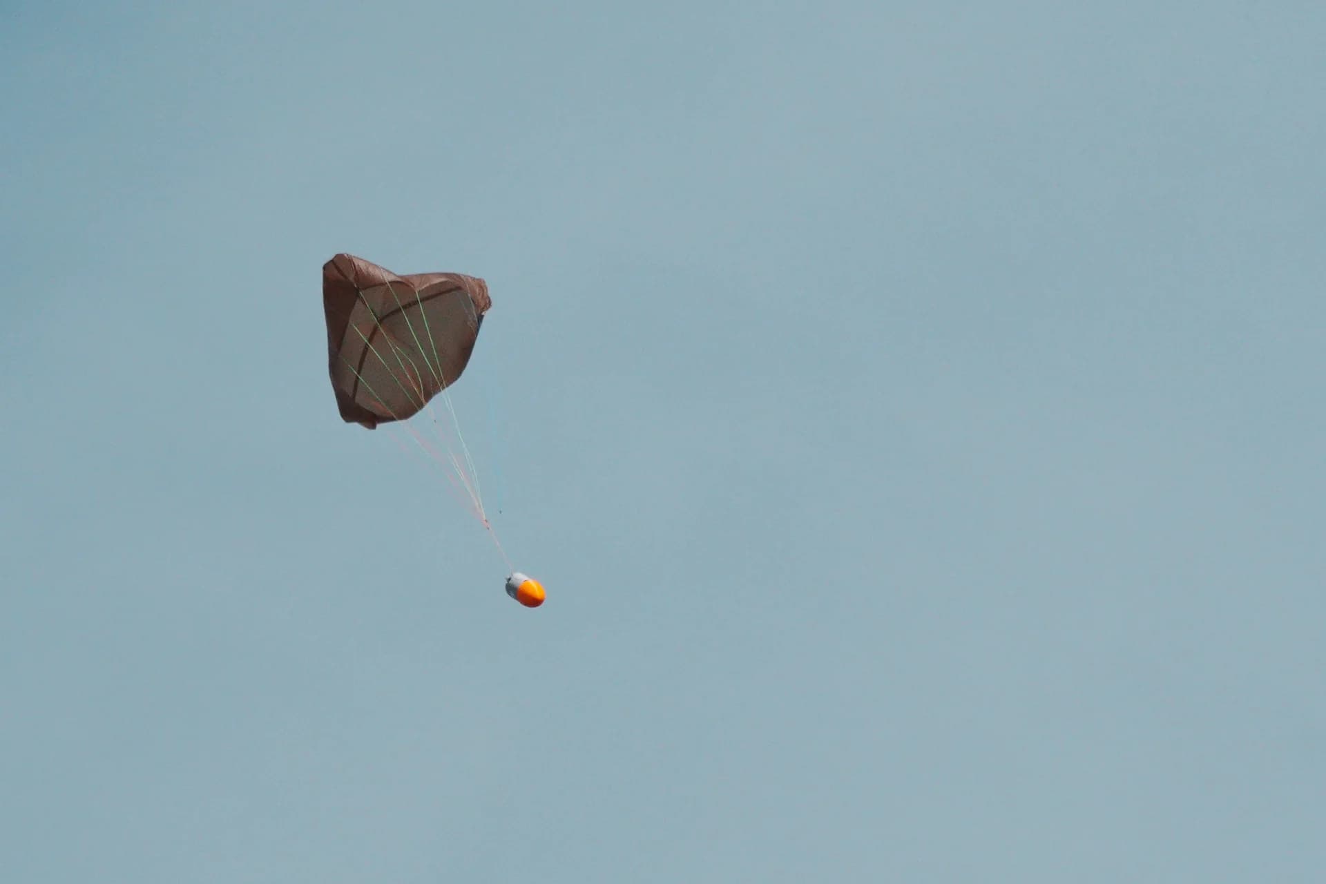 DAEDALUS — photo 4